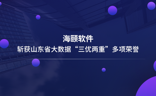 龙八 long8软件斩获山东省大数据“三优两沉”多项荣誉